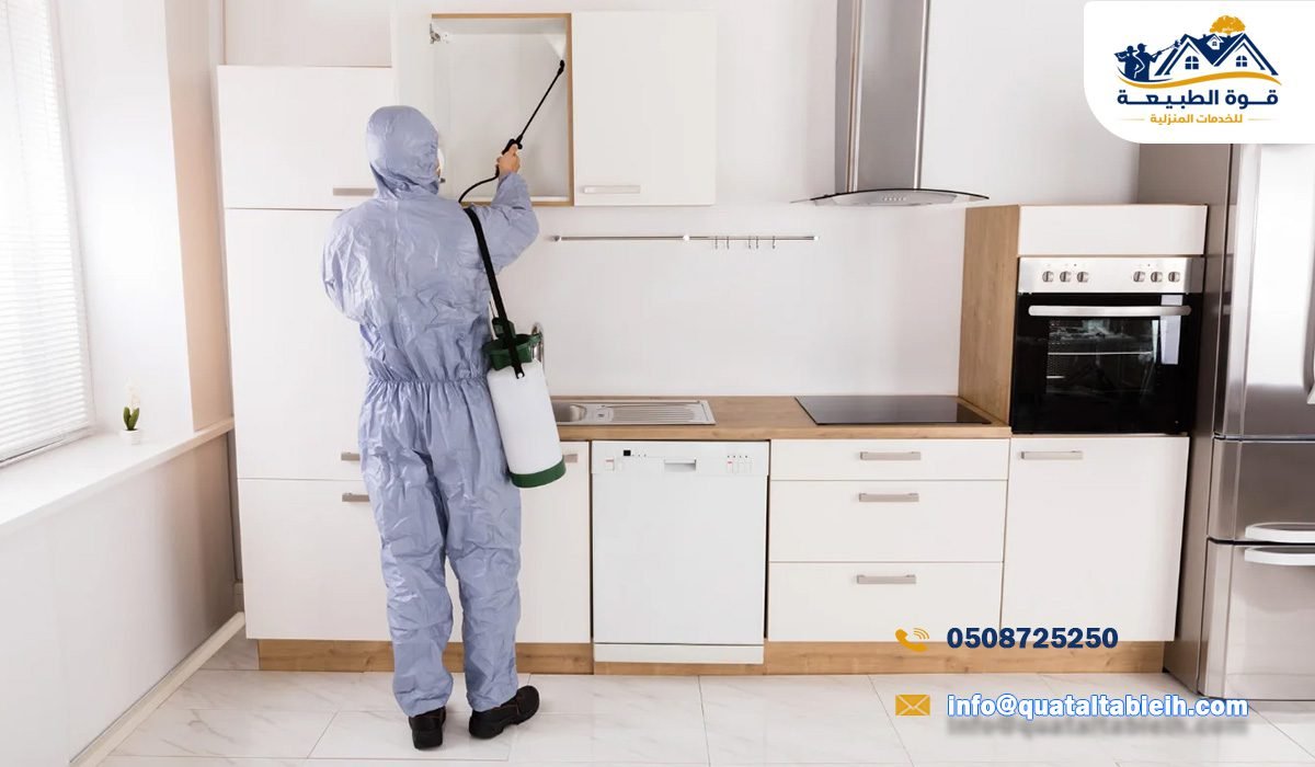متى تحتاج إلى الاستعانة بشركة مكافحة حشرات؟