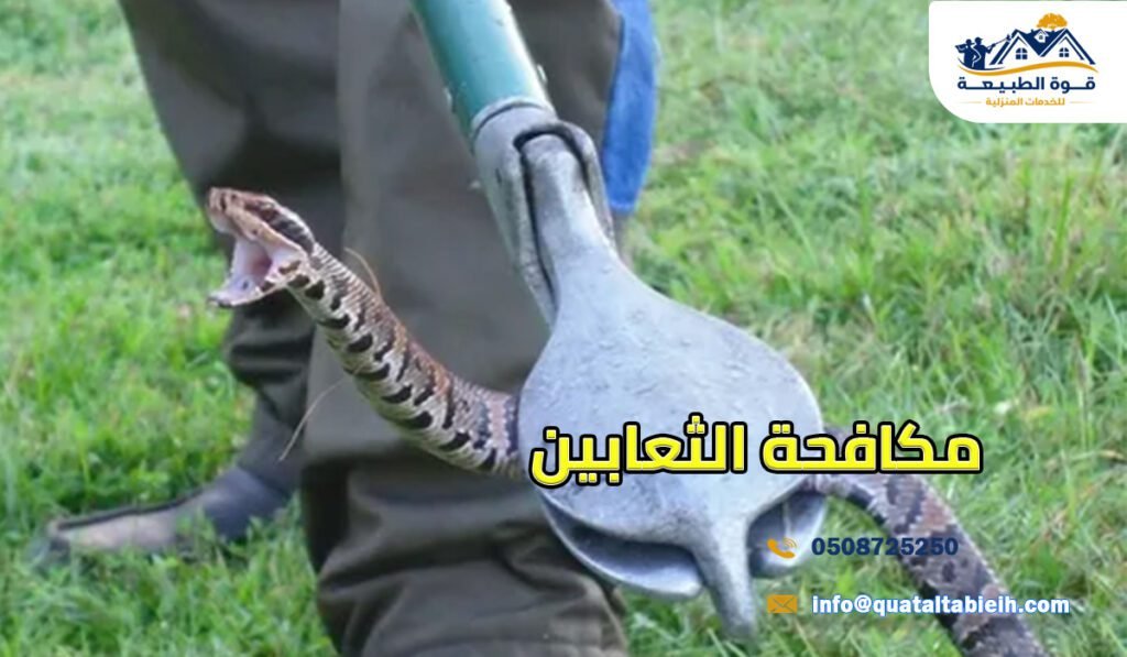 مكافحة الثعابين في الرياض