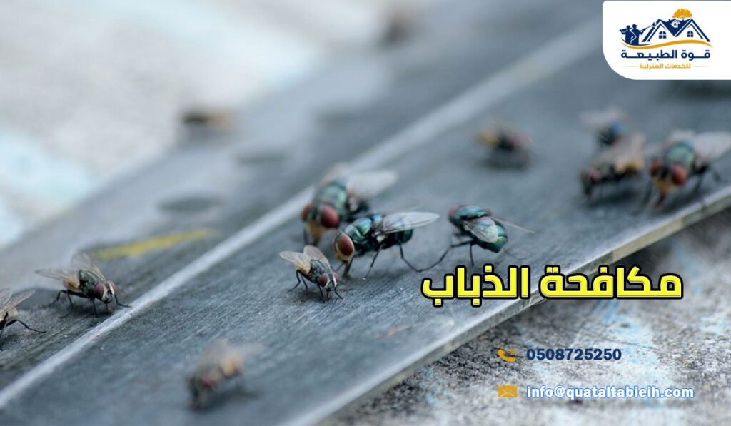 مكافحة الذباب في الرياض