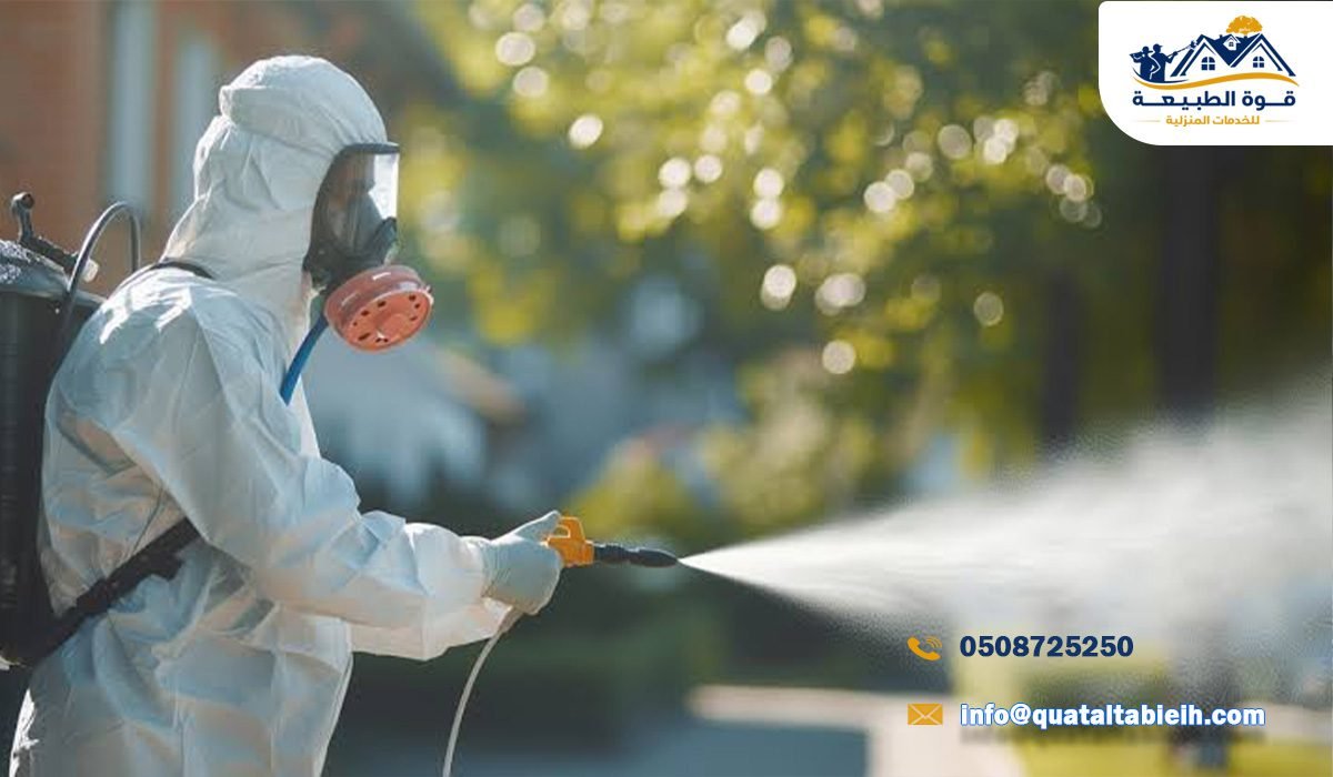 ما أسباب انتشار الذباب في الرياض؟