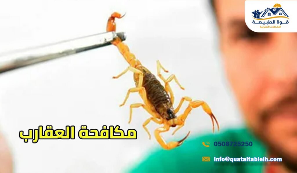 مكافحة العقارب بالرياض