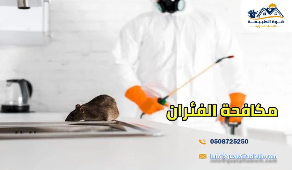 مكافحة الفئران في الرياض