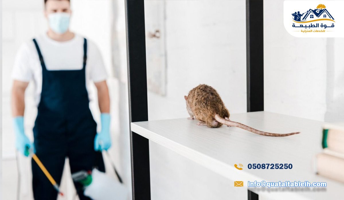 مكافحة الفئران في المطاعم والمطابخ بالرياض