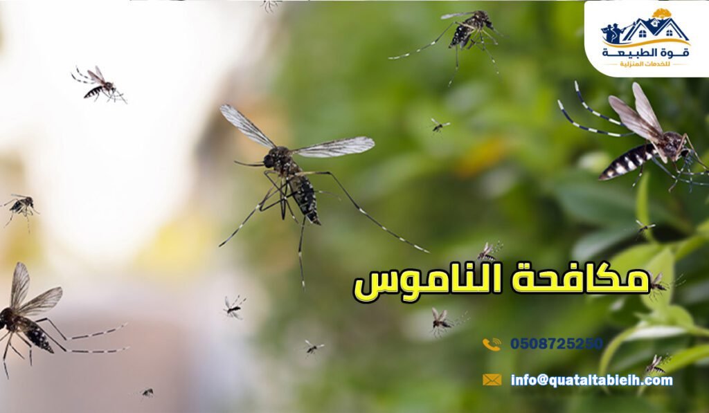 مكافحة الناموس في الرياض