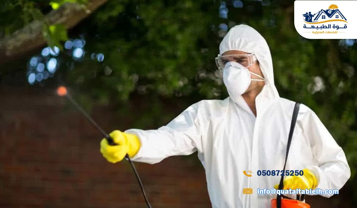 نصائح أفضل شركة مكافحة حشرات في حي النهضة بالرياض
