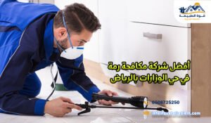 أفضل شركة مكافحة رمة في حي الوزارات بالرياض