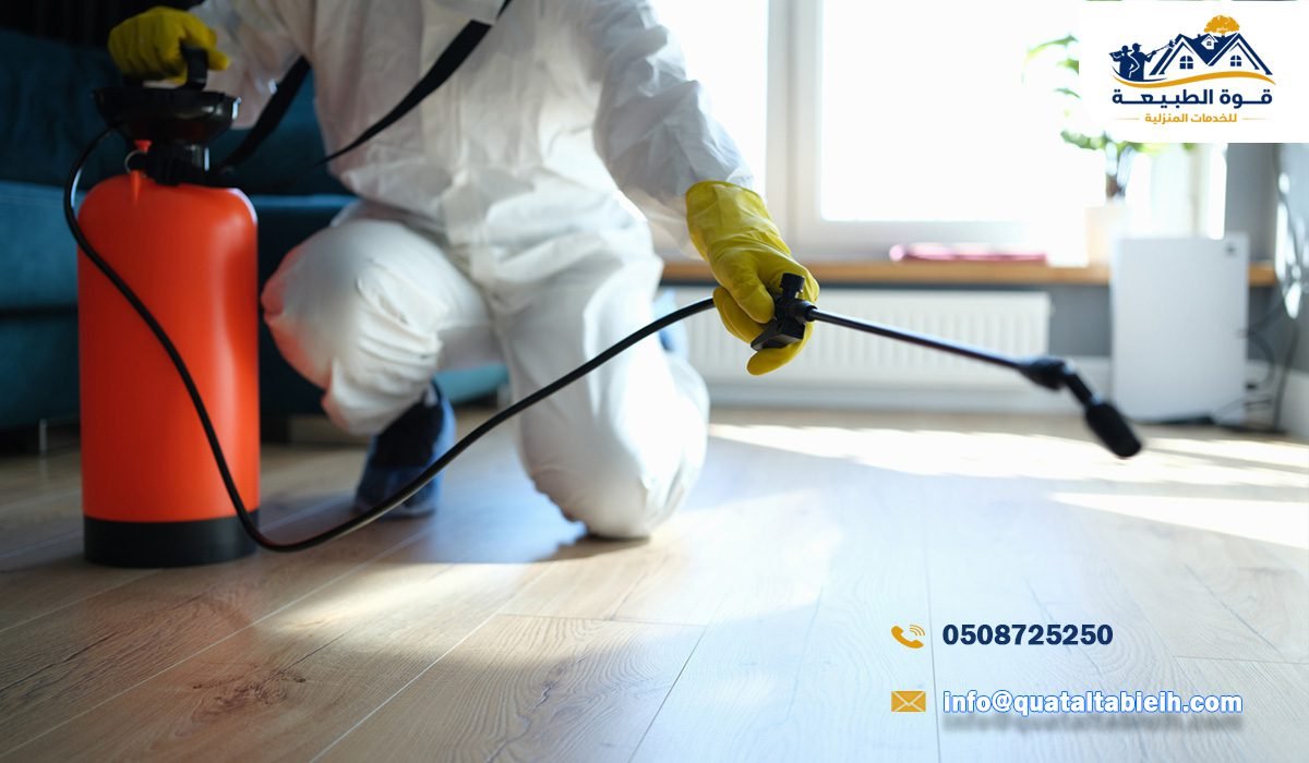 نصائح أفضل شركة مكافحة حشرات في الرياض