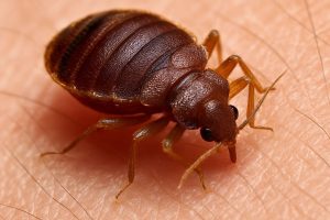 a02668a0ba85c862e9bda30802fe4c80 a02668a0ba85c862e9bda30802fe4c80