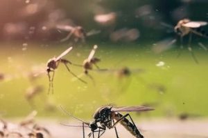 aac088d239ae80c71ffdde1dc80bf87b aac088d239ae80c71ffdde1dc80bf87b